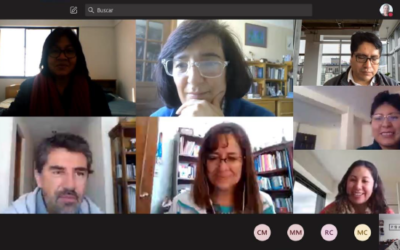 Proyecto de Cooperación Triangular “Fortalecer el Capital Académico para prevenir la Violencia contra las mujeres en las organizaciones en Bolivia y Perú – CoTriA”