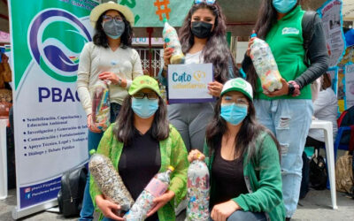 Catovoluntarios campaña de eco-techos caninos