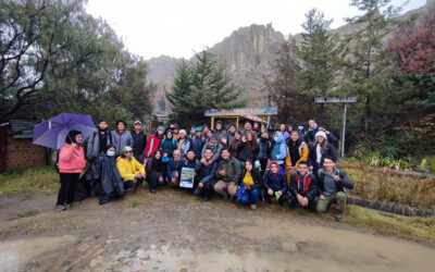 Campaña de reforestación y restauración de nuestros bosques