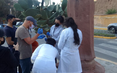 CINAES, EN COOPERACIÓN CON LA UNIVERSIDAD DE NORTH CAROLINA, TRABAJA EN INVESTIGACIONES ENFOCADAS A MEJORAR LA CALIDAD DEL AIRE Y DEL AGUA EN BOLIVIA Y ESTADOS UNIDOS