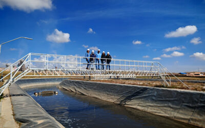 Ingeniería Ambiental en movimiento: del aula a la realidad