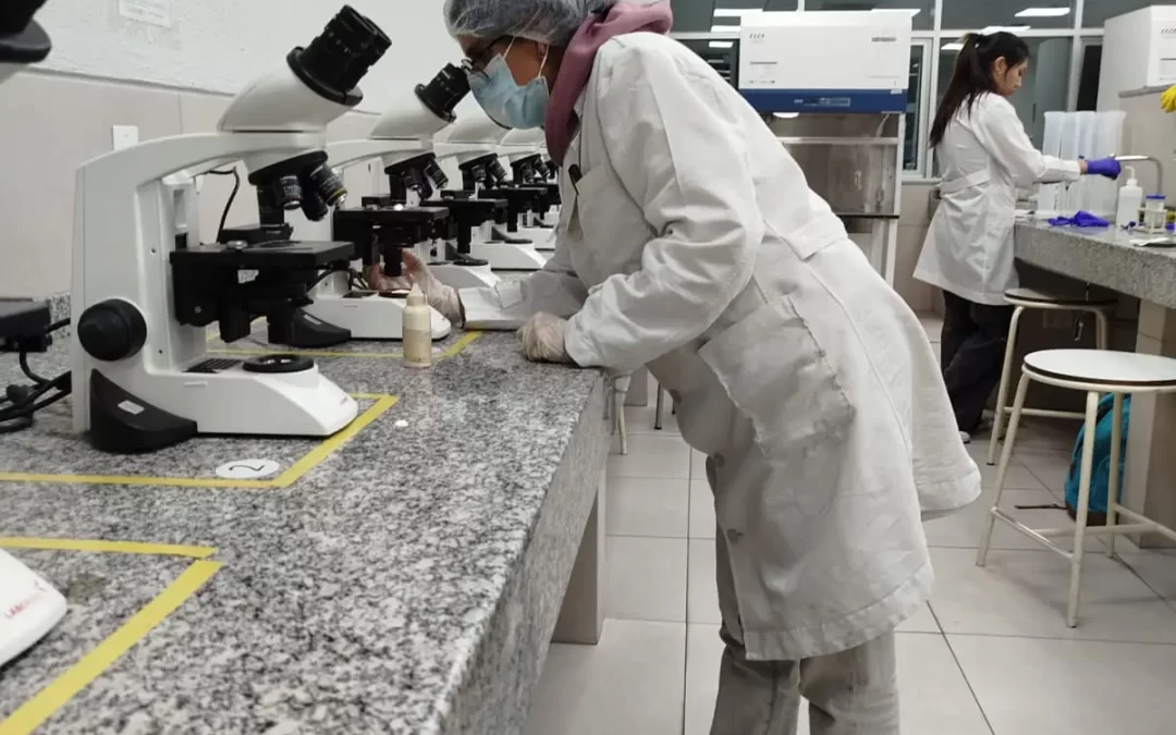 Estudiantes de la U.C.B. clasifican a la final internacional del Programa IEEE Entrepreneurship – Región 9