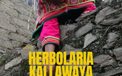 Documental “Herbolaria Kallawaya”, del SECRAD de la U.C.B., se presenta en encuentro audiovisual nacional del MUSEF
